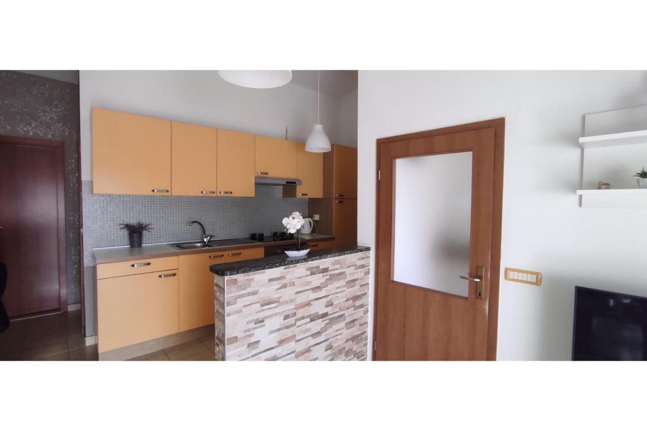 Apartment Flowers Bibinje Dış mekan fotoğraf