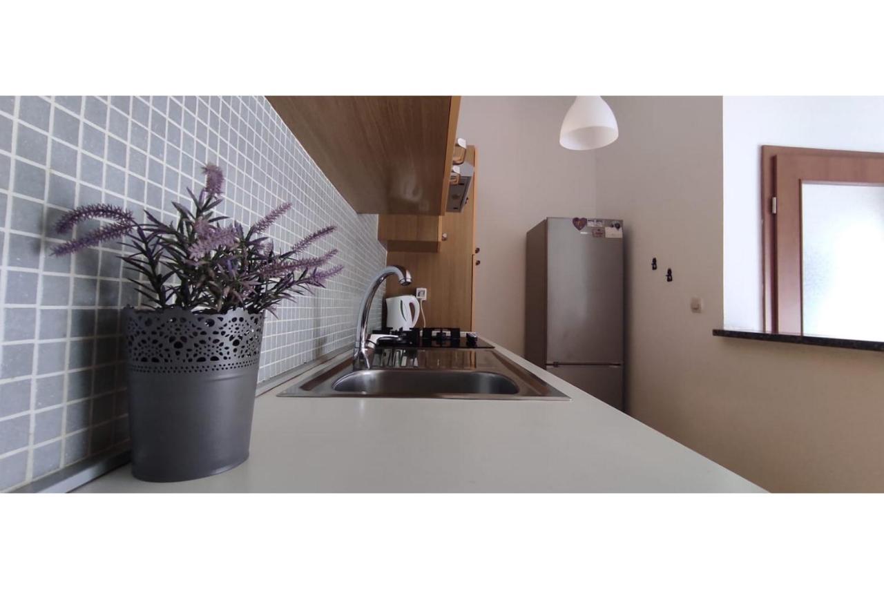 Apartment Flowers Bibinje Dış mekan fotoğraf