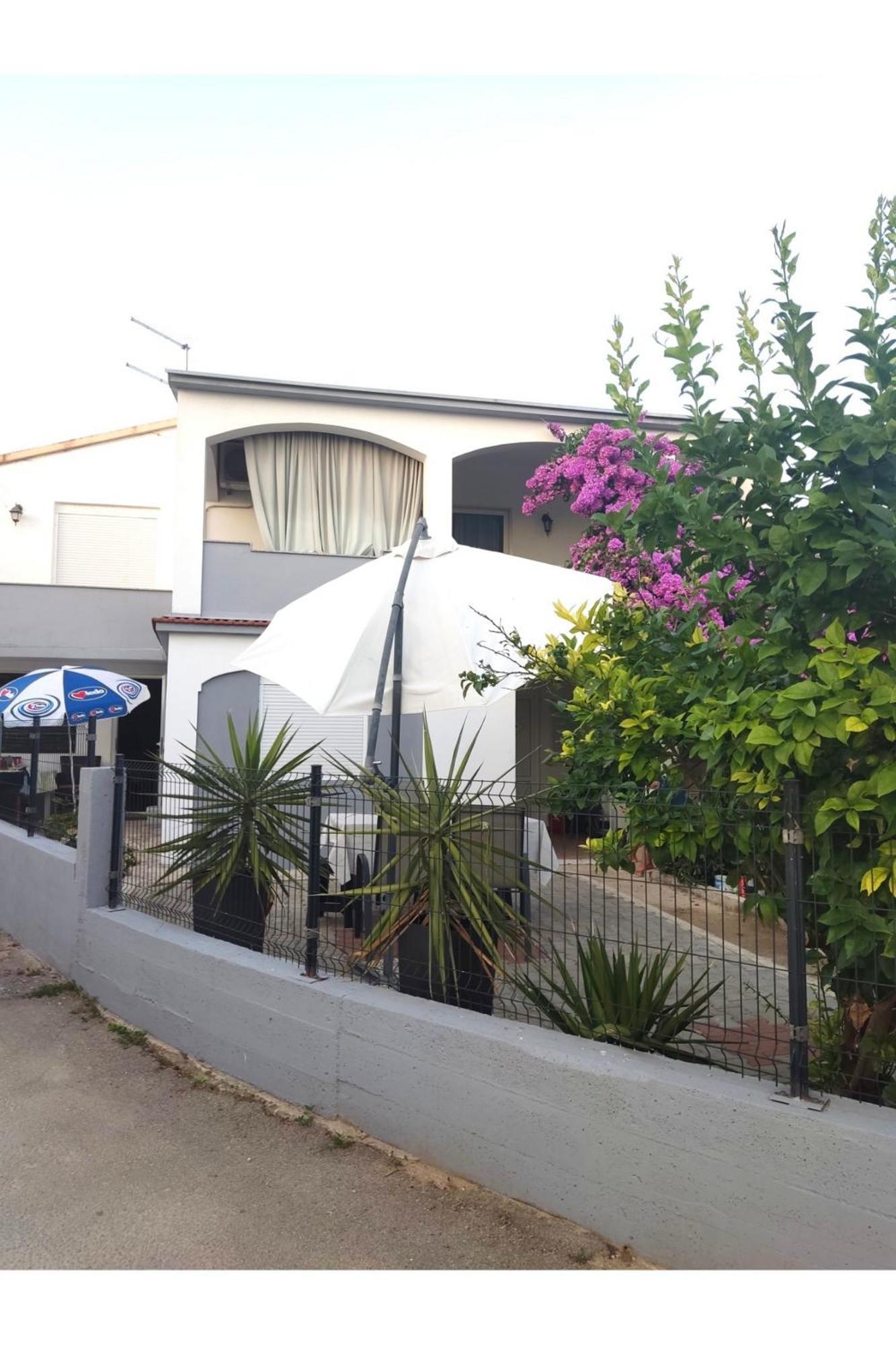 Apartment Flowers Bibinje Dış mekan fotoğraf